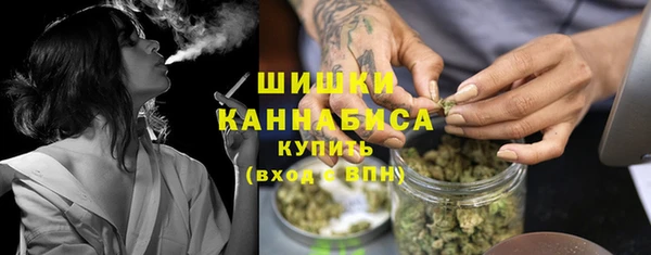 прущие грибы Михайлов