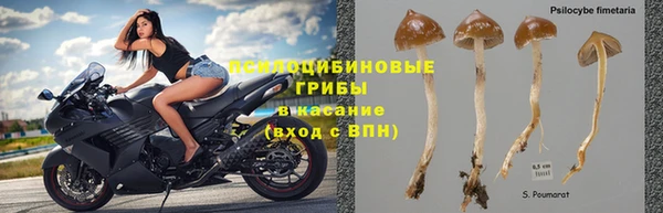 прущая мука Михайловск