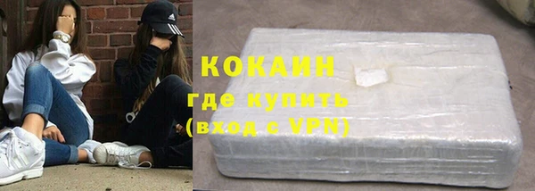 прущие грибы Михайлов