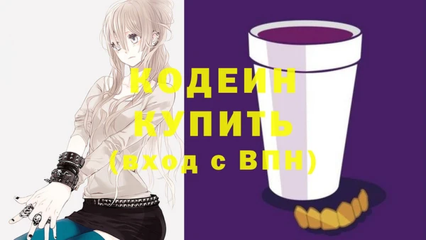 гашик Заводоуковск