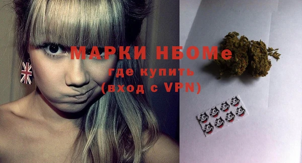 прущие грибы Михайлов