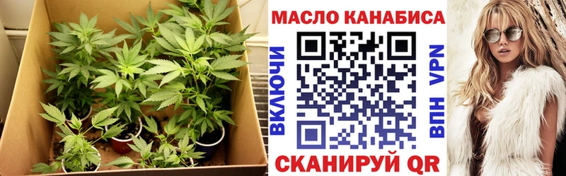hydra   Дорогобуж  ТГК концентрат 